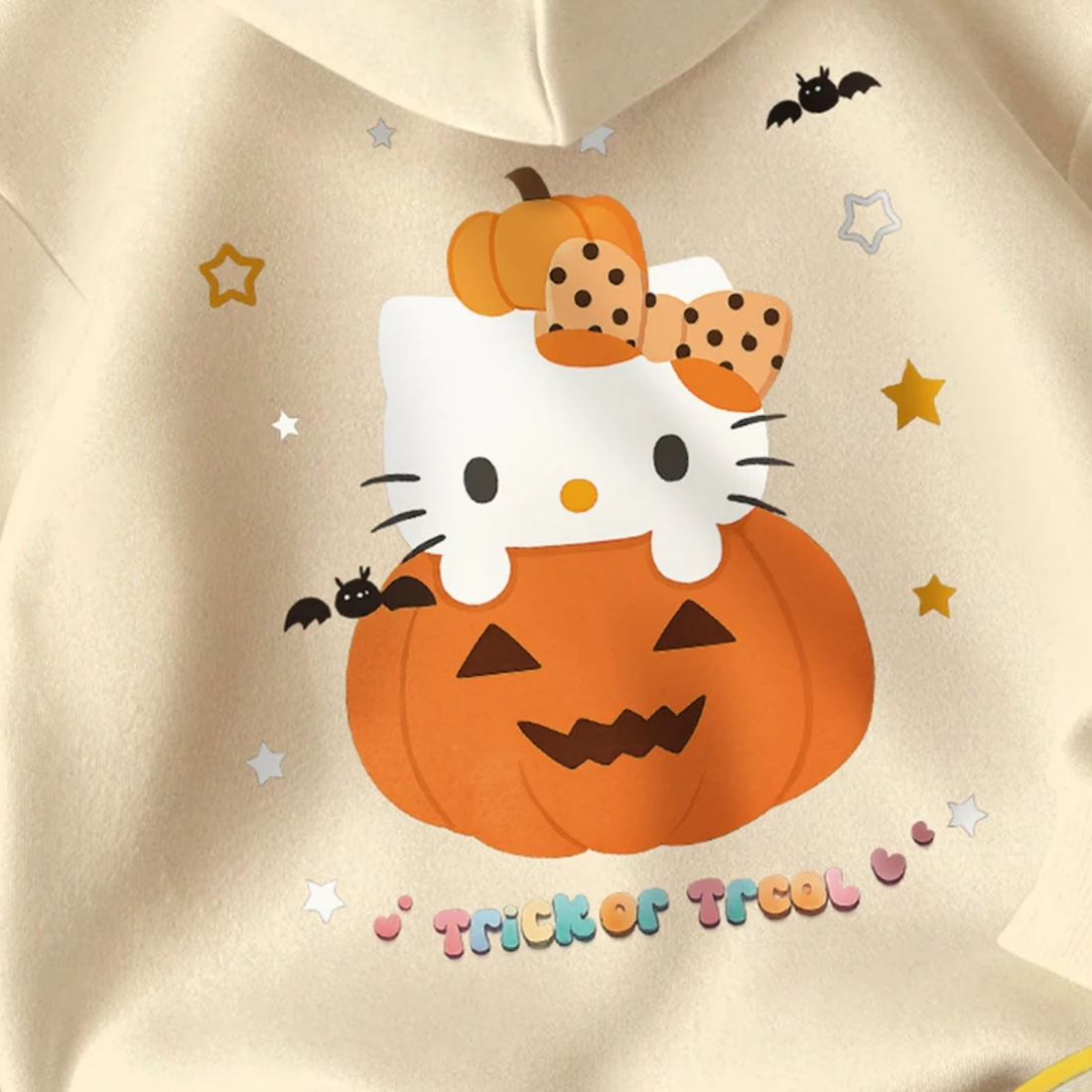 Combo of 2 Women's Cozy Hoodies | Stylish Winter Pack | CH-06